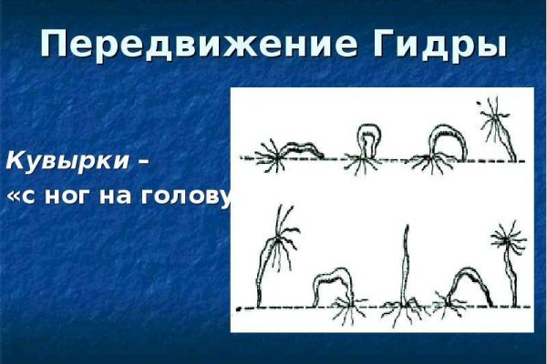 Кракен адрес супернет