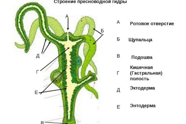 Кракен впн
