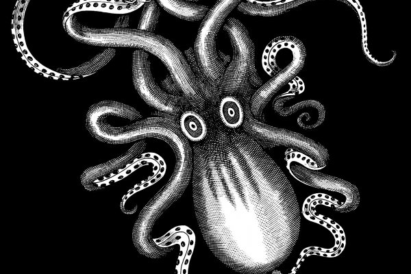 Kraken whitenet ссылка