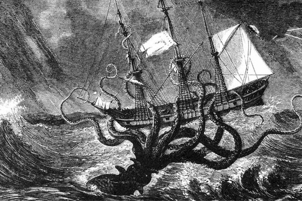 Kraken маркет whitenet только через tor скачать
