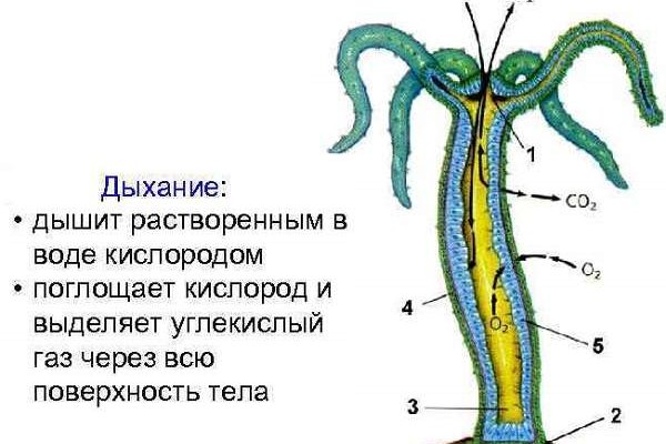 Solaris супернет