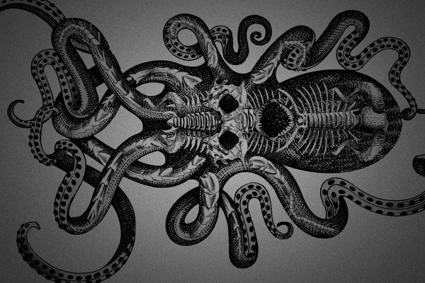 Kraken russia