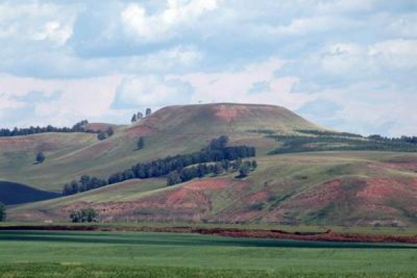 Кракен тор ссылка онлайн
