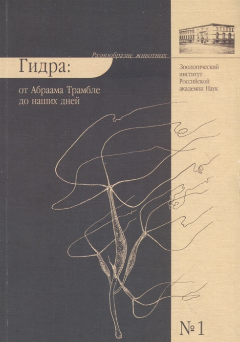 Ссылка на кракен лукойл