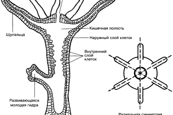 Кракен ссылка купить соли