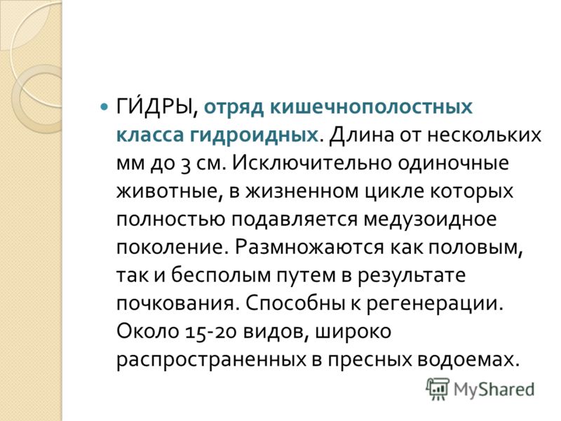 Восстановить доступ к кракену