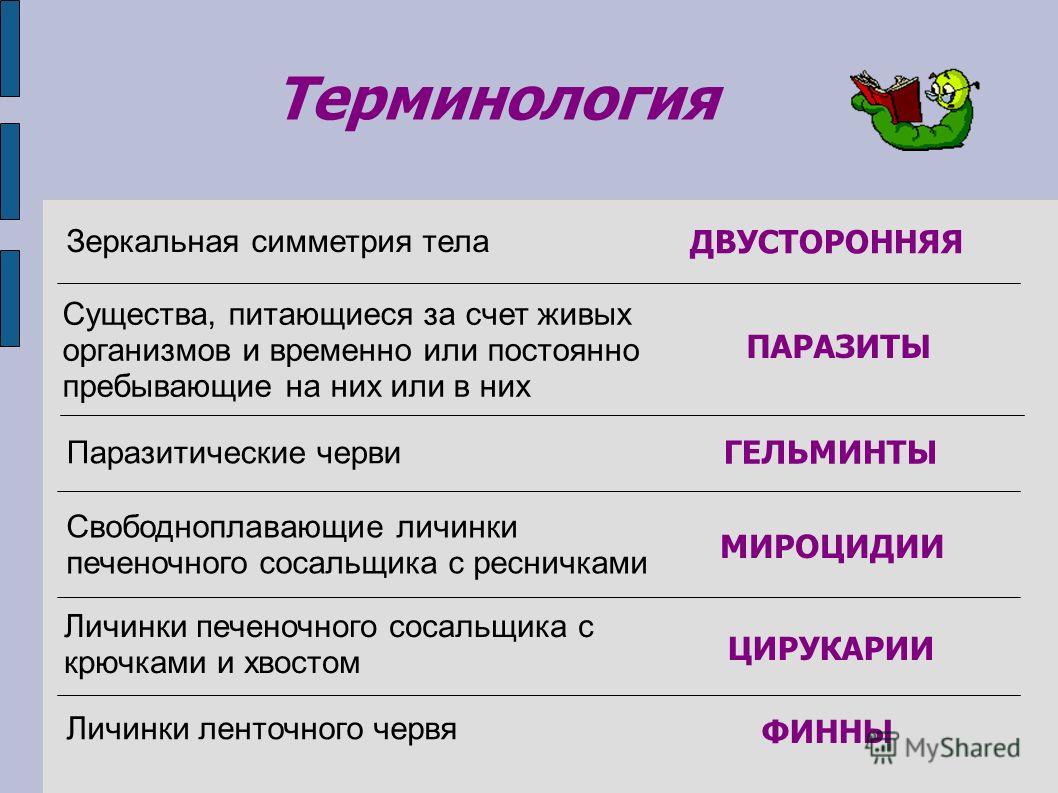 Kra47.at